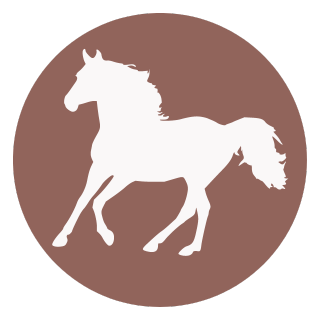 ICONE - MADE IN FRANCE (3)