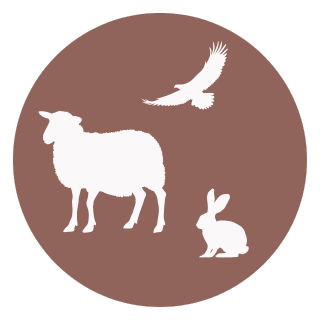 ICONE - MADE IN FRANCE (4)