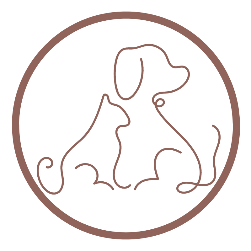 White Gold Minimalist Elegant Floral LinkedIn Profile Picture (17)